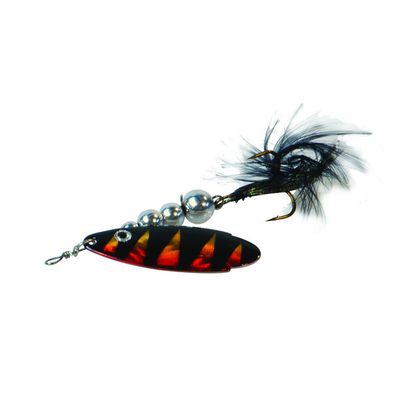Foto van Albatros pearl Magic Orange