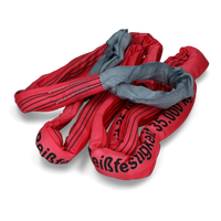 Sleepkabel 10 meter tot 35 ton