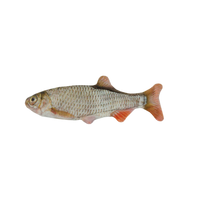 Wild Life Cat Roach (Voorn)