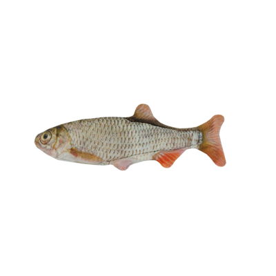 Foto van Wild Life Cat Roach (Voorn)