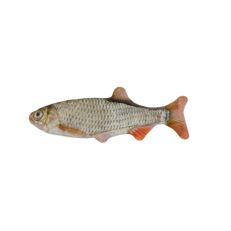 Foto van Wild Life Cat Roach (Voorn)