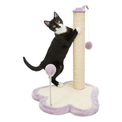 Trixie Junior krabplank met stam pootvorm Foto van Trixie Junior krabplank met stam pootvorm