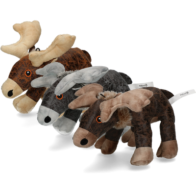 Foto van Elegant Moose Bruin