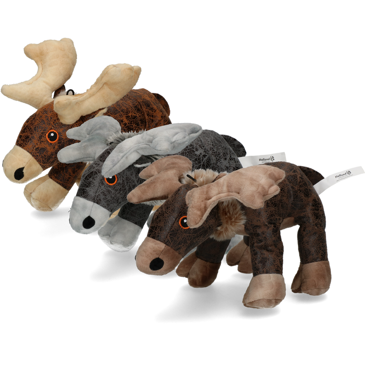 Foto van Elegant Moose Bruin