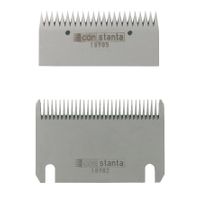 Constanta 3 B+O Paard 23/31