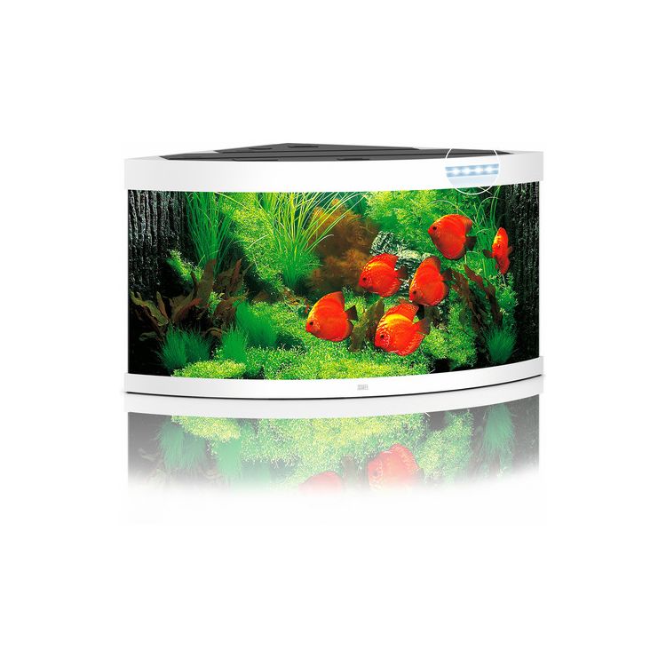 Foto van Juwel Aquarium Trigon 350 LED