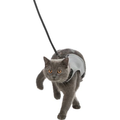 Foto van Trixie Softtuig kat met riem - 2 stuks