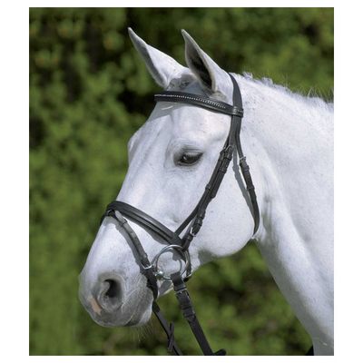 Foto van Star Hoofdstel Star