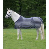 Waldhausen Basis vliegendeken