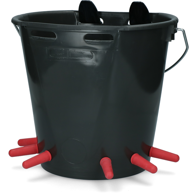 Foto van Lambar compl. 2-zijdig met 6 spenen