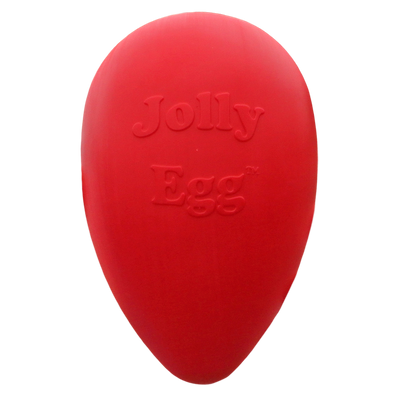 Foto van Jolly Egg 20 cm Geel