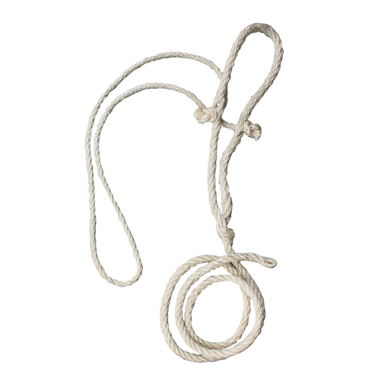 Foto van Koetouwhalster + dun koptouw