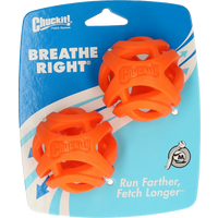 Chuckit Breathe Right Fetch Ball Medium 2 pk