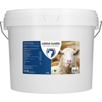 Likblok Goldlik schaap/lam