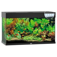 Juwel Aquarium Rio 125 LED