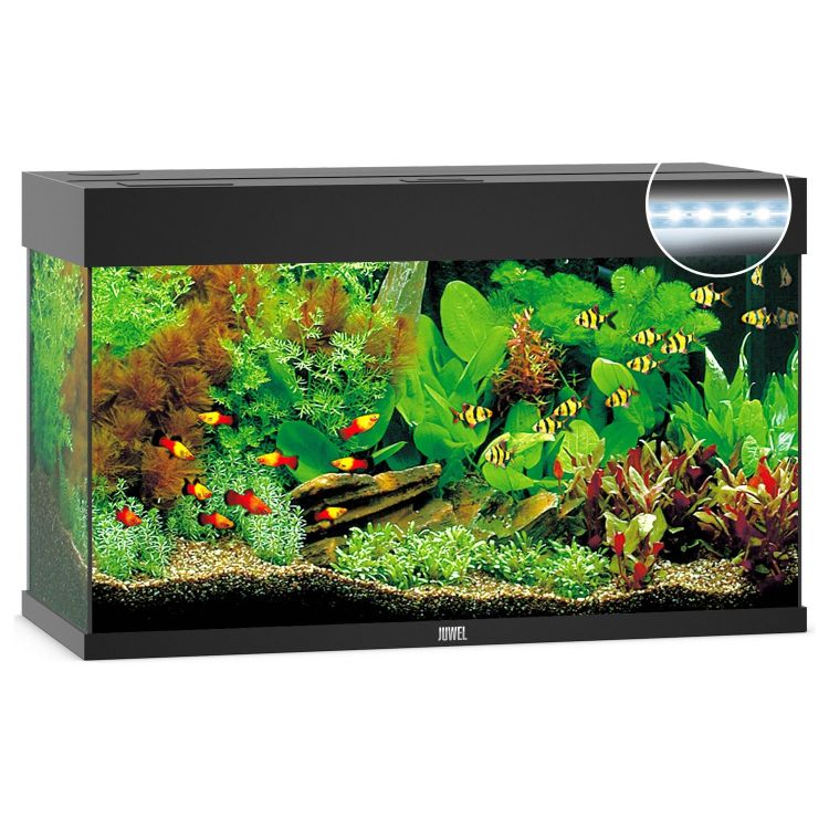 Foto van Juwel Aquarium Rio 125 LED