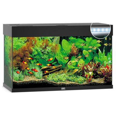 Juwel Aquarium Rio 125 LED Foto van Juwel Aquarium Rio 125 LED