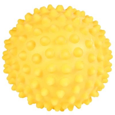 Trixie Egelbal zonder geluid vinyl - 2 stuks Foto van Trixie Egelbal zonder geluid vinyl - 2 stuks