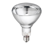 Lamp 250w wit Hard Glas Philips