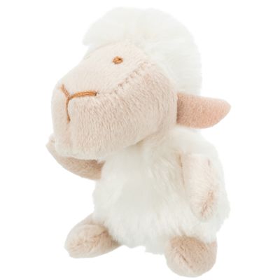 Foto van Trixie Schaap