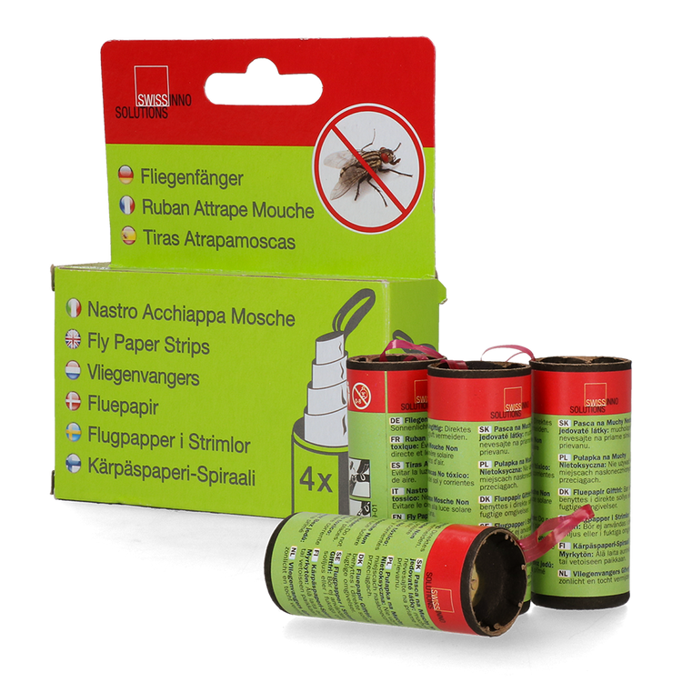 Foto van Vliegenstrip