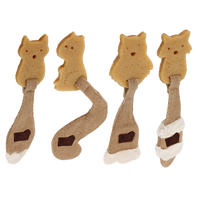 AFP Wild and Nature Rawber Raccoon