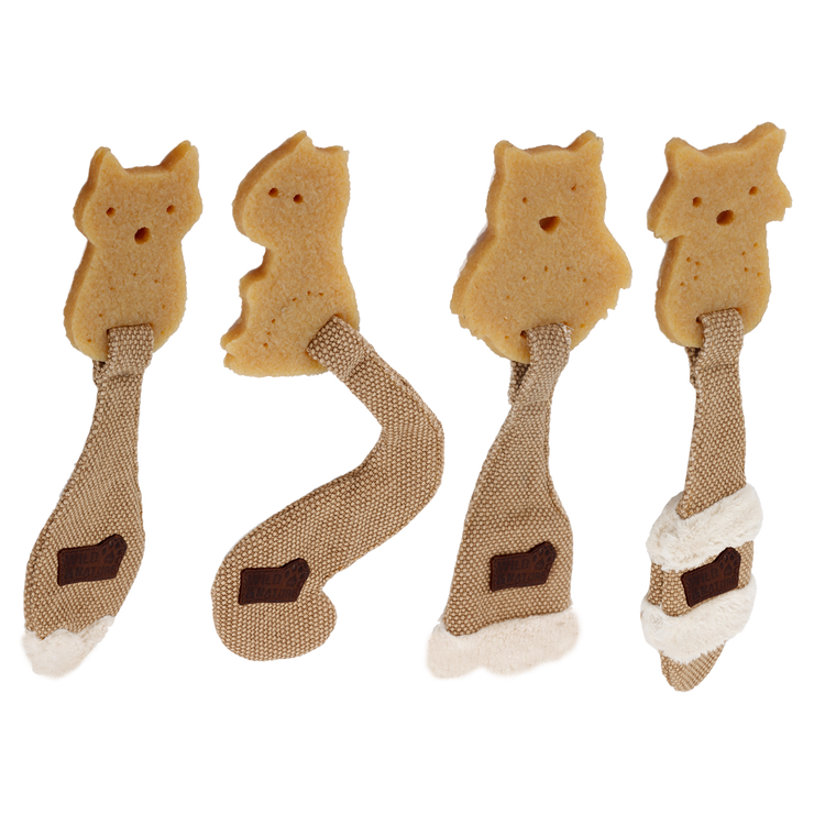 Foto van AFP Wild and Nature Rawber Raccoon