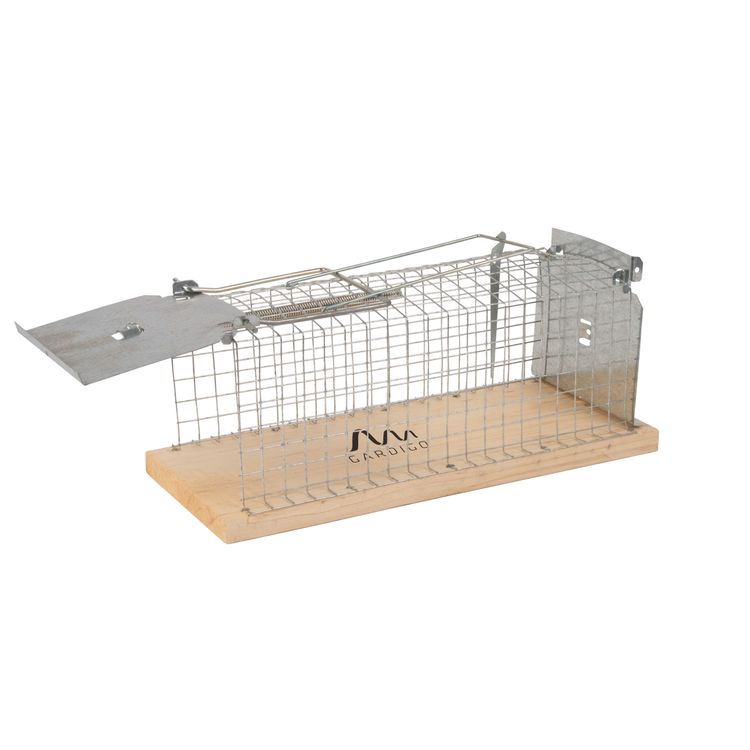 Levende Rattenval Kooi - Diervriendelijke Ratten- en Muizenval - voor Binnen en Buiten - Gardigo Foto van Levende Rattenval Kooi - Diervriendelijke Ratten- en Muizenval - voor Binnen en Buiten - Gardigo