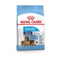 Royal Canin SHN Maxi Starter Mother & Babydog