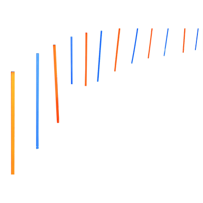 Foto van Agility Poles 12 pcs