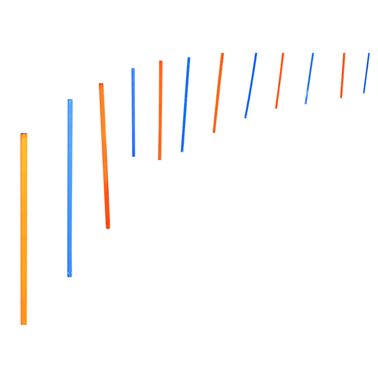 Foto van Agility Poles 12 pcs