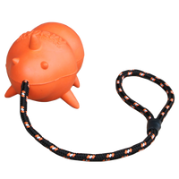 Fetch Dog Snorky Large 13.5cm