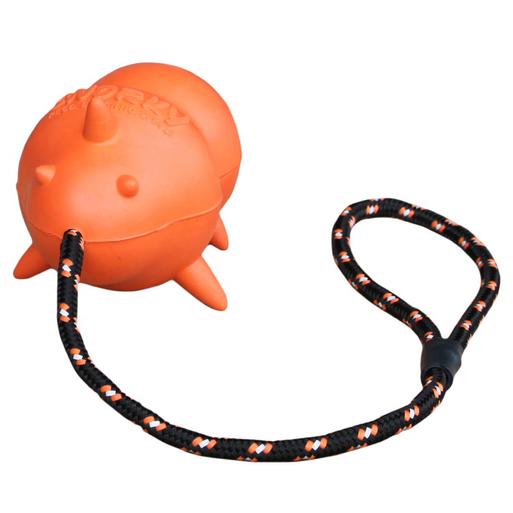 Foto van Fetch Dog Snorky Large 13.5cm