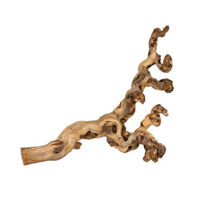 Foto van Trixie Druiventak - XL - 6 stuks