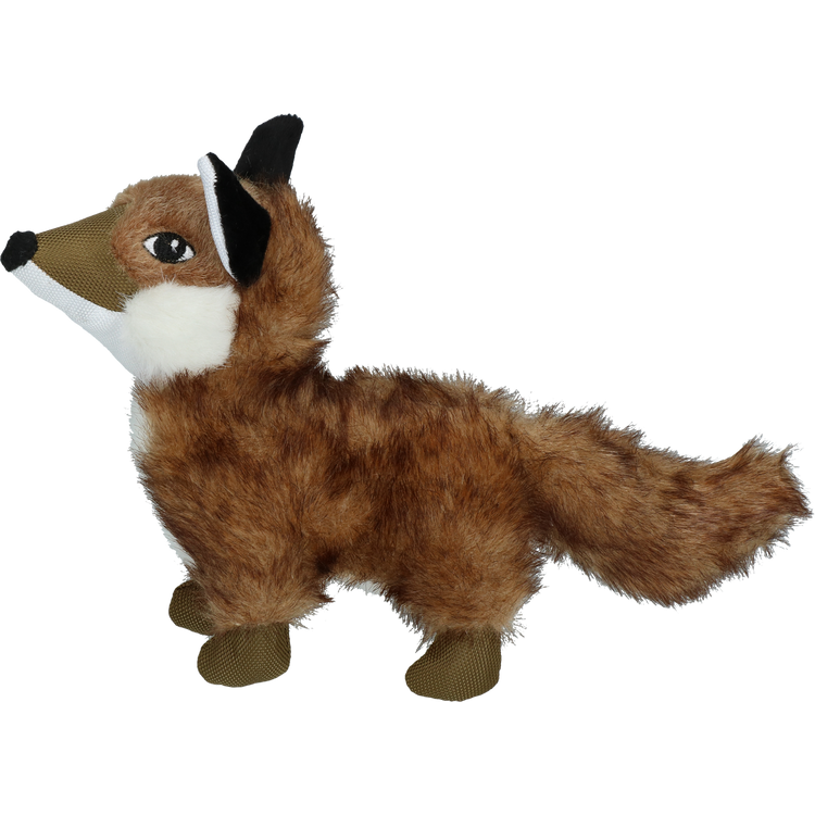 Foto van Wild Life Dog Fox