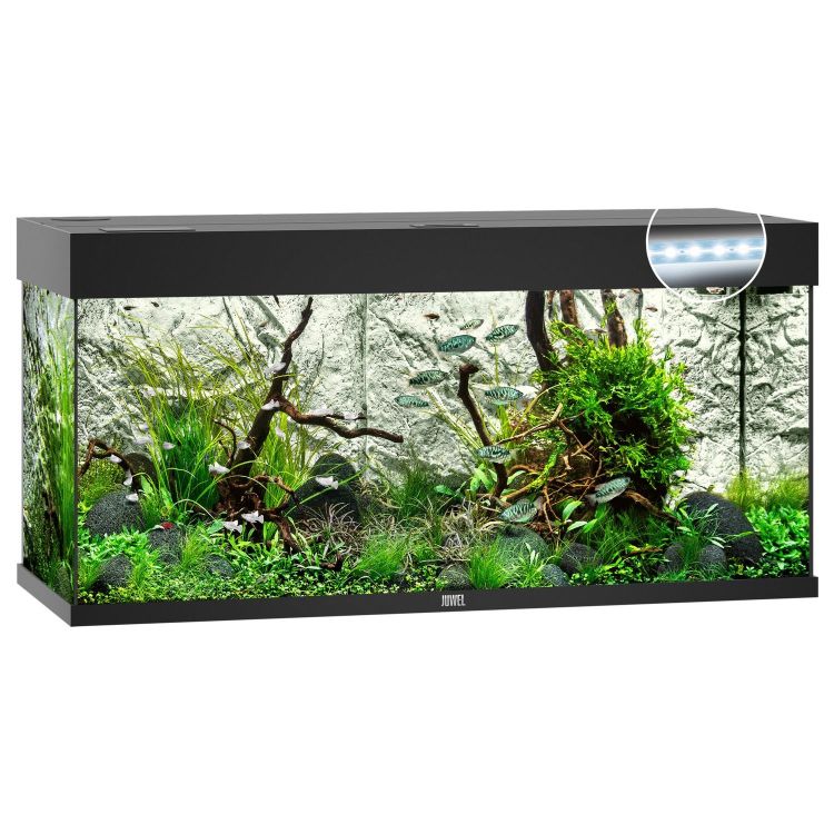 Foto van Juwel Aquarium Rio 180 LED