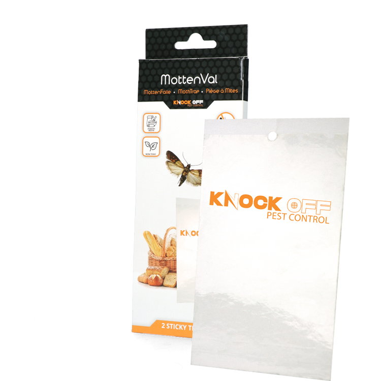 Foto van Knock Off Levensmiddelenmottenval Vlak