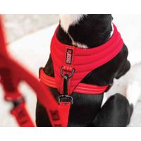KONG Comfort harness S Red