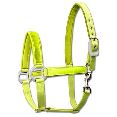 Foto van Waldhausen Halster Reflectie