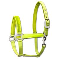 Waldhausen Halster Reflectie