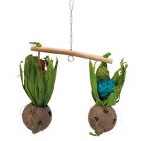 Trixie Wip met kokosnoten