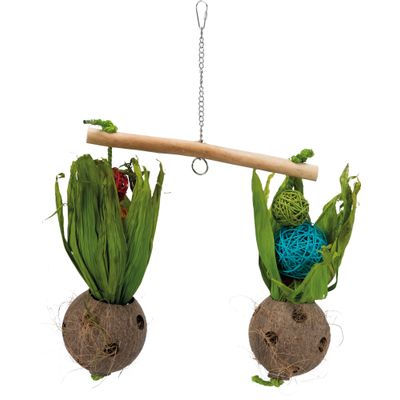 Foto van Trixie Wip met kokosnoten