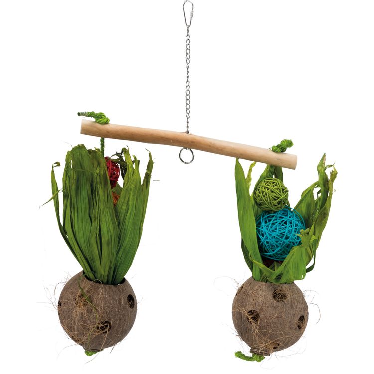 Foto van Trixie Wip met kokosnoten