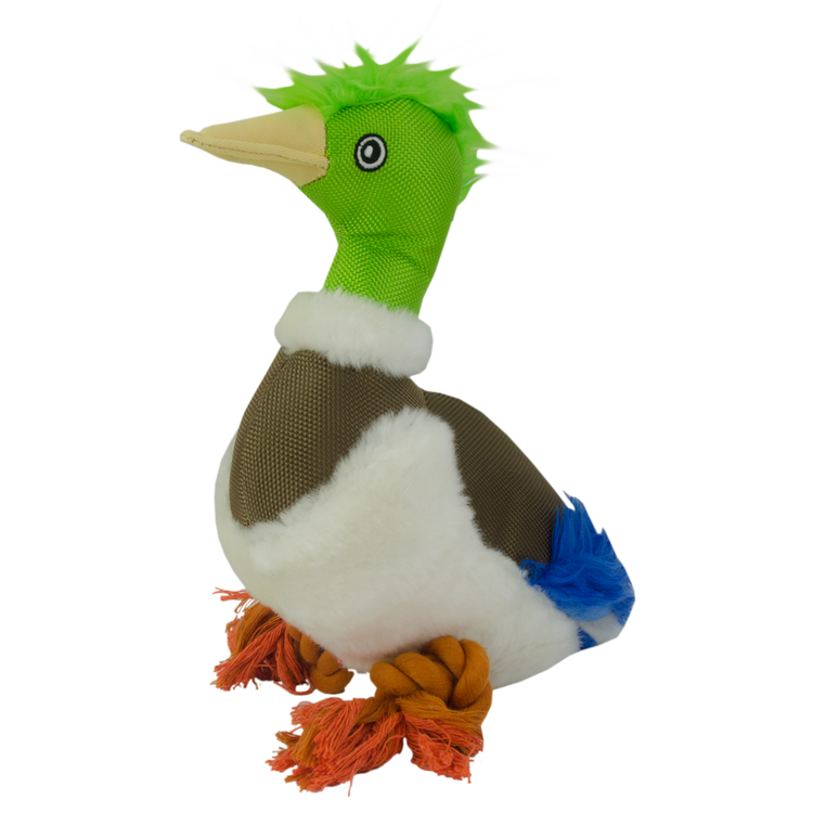 Foto van Wild Life Dog Duck (Eend)