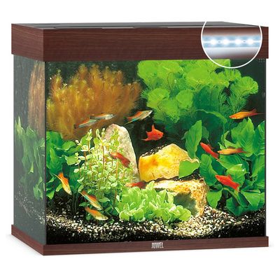 Foto van Juwel Aquarium Lido 120 LED