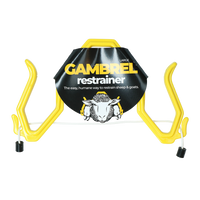 Schapenhouder (In bedwang houden)