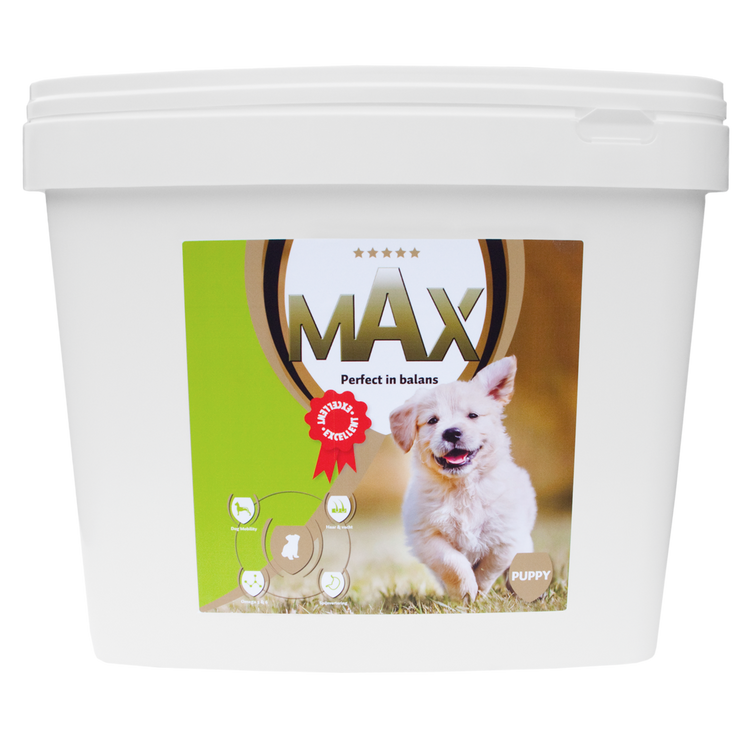 Foto van Max Puppy
