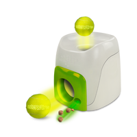 AFP Interactive Fetch&#039;N Treat