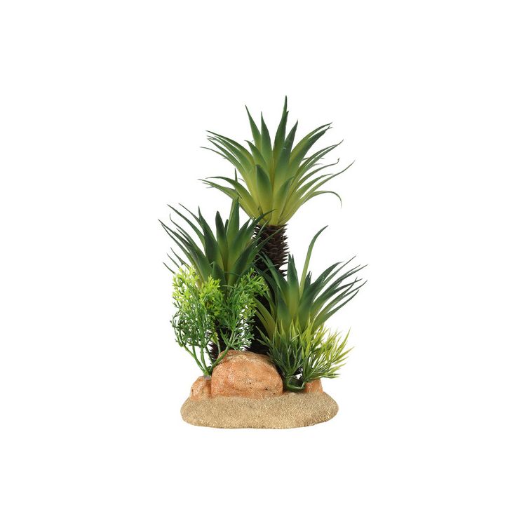 Foto van Aqua Della Sagopalm