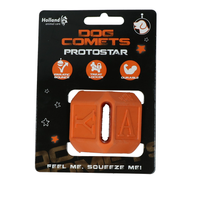 Foto van Dog Comets Protostar Oranje